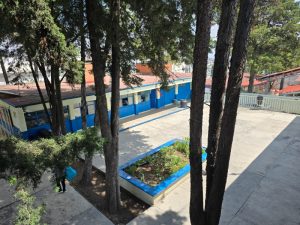 carrusel otilio montaño 11