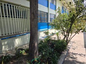 carrusel otilio montaño 3