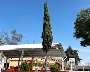 carrusel plan de san luis 11