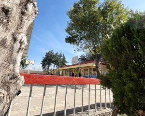 carrusel plan de san luis 14